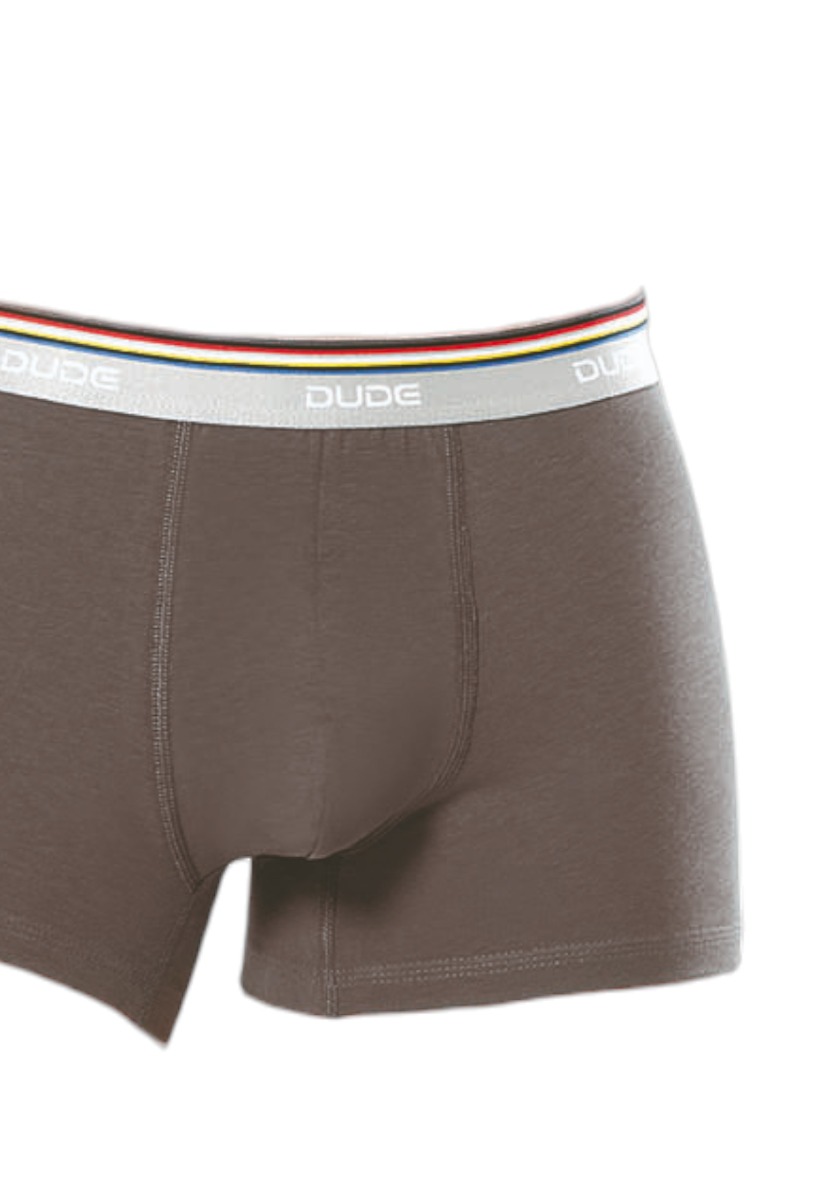 Boxer ανδρικό βαμβακερό 4DUDE με μαλακό εξωτερικό τρίχρωμο λάστιχο DD1300-Ανθρακί φωτογραφία