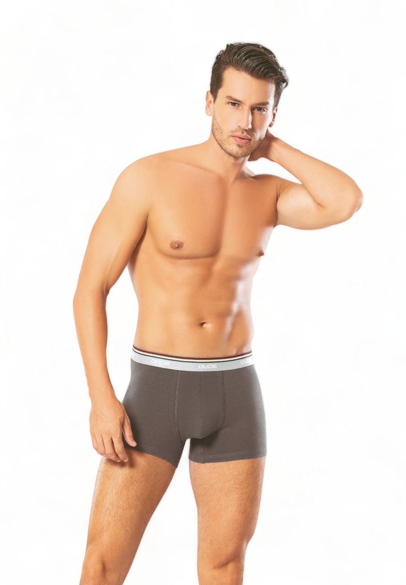 Boxer ανδρικό βαμβακερό 4DUDE με μαλακό εξωτερικό τρίχρωμο λάστιχο DD1300-Ανθρακί φωτογραφία