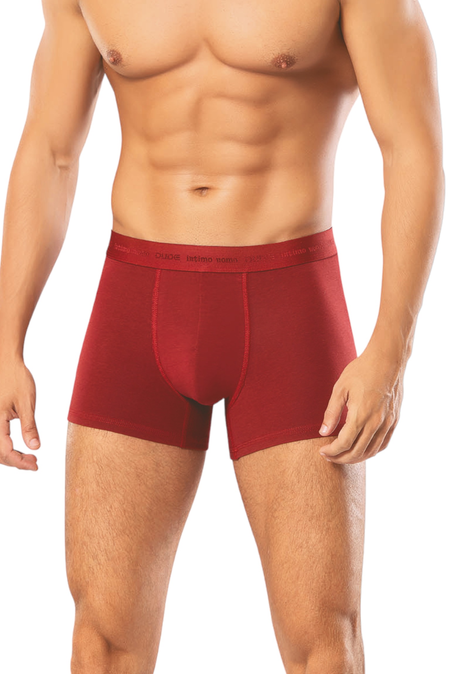 Boxer ανδρικά βαμβακερά 4DUDE Rombus σε οικονομική συσκευασία 2 τεμαχίων DD1402-Μπορντώ φωτογραφία