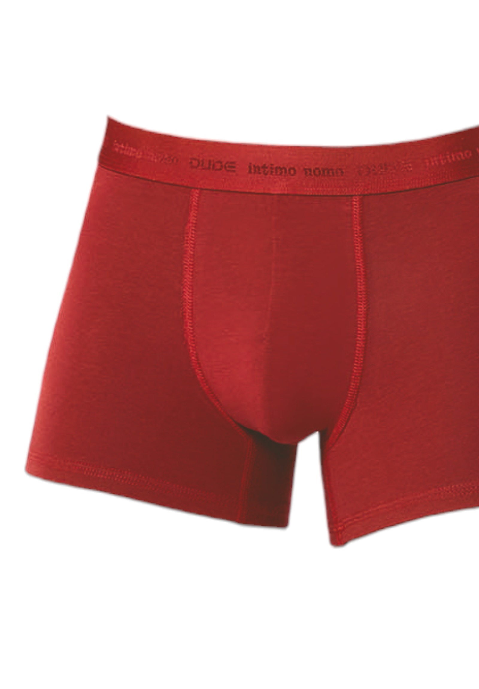 Boxer ανδρικά βαμβακερά 4DUDE Rombus σε οικονομική συσκευασία 2 τεμαχίων DD1402-Μπορντώ φωτογραφία