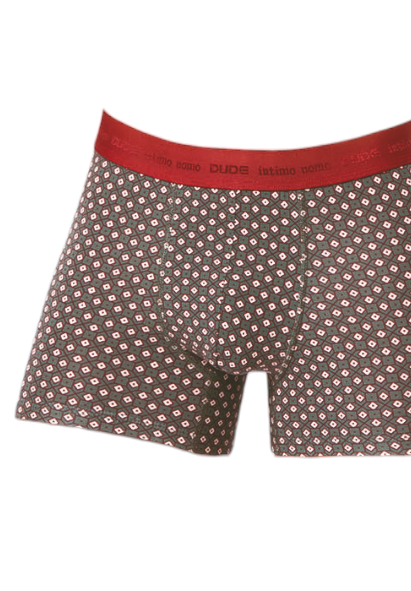 Boxer ανδρικά βαμβακερά 4DUDE Rombus σε οικονομική συσκευασία 2 τεμαχίων DD1402-Μπορντώ φωτογραφία