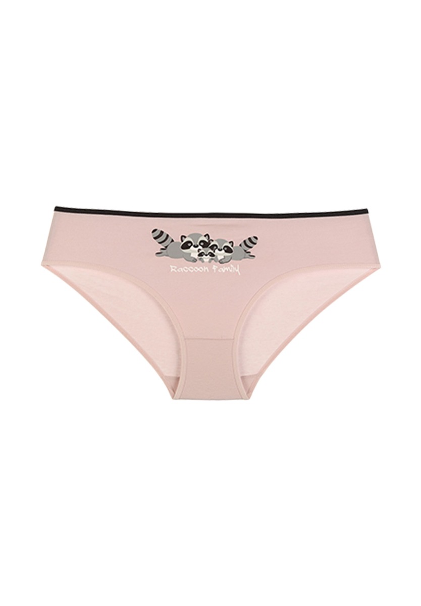Σλιπ εφηβικά Racoon Family 5 τεμ. 5171923RN φωτογραφία