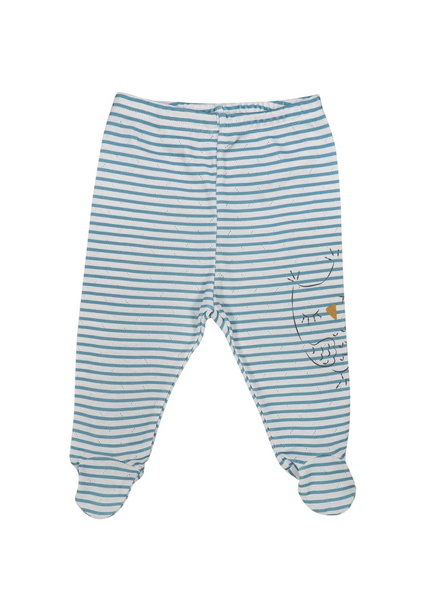 Παντελονάκια βρεφικά οικονομικό πακέτο Owl 2 Τεμ. 57633 φωτογραφία