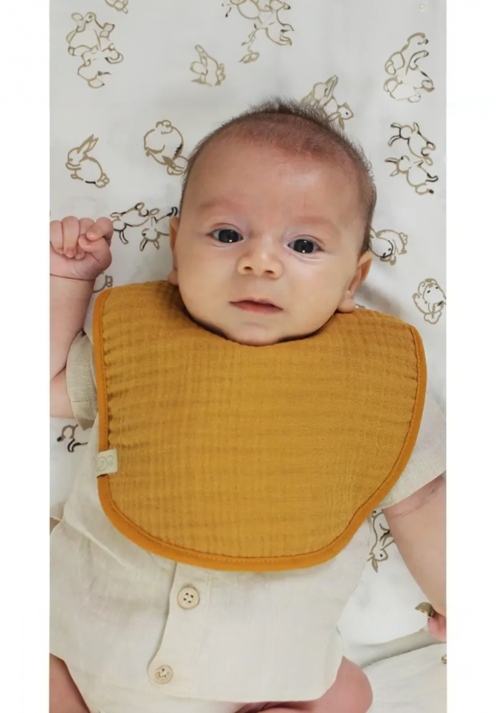 Σαλιάρες βρεφικές από οργανικό βαμβάκι Fall Colours Biorganic BRG60101-Πολύχρωμο φωτογραφία