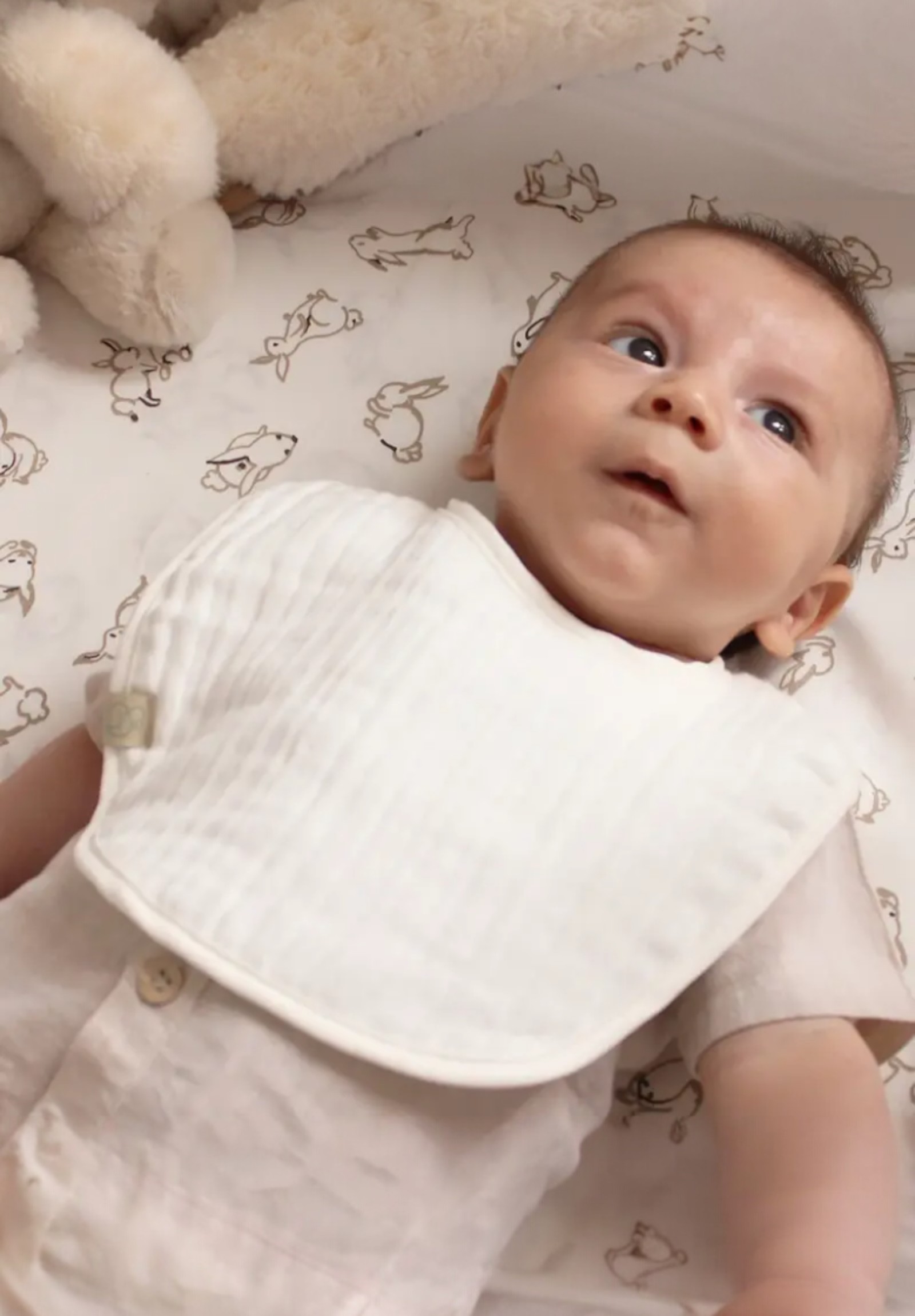 Σαλιάρες βρεφικές από οργανικό βαμβάκι Neutral Colours Biorganic BRG60101-1-Πολύχρωμο φωτογραφία