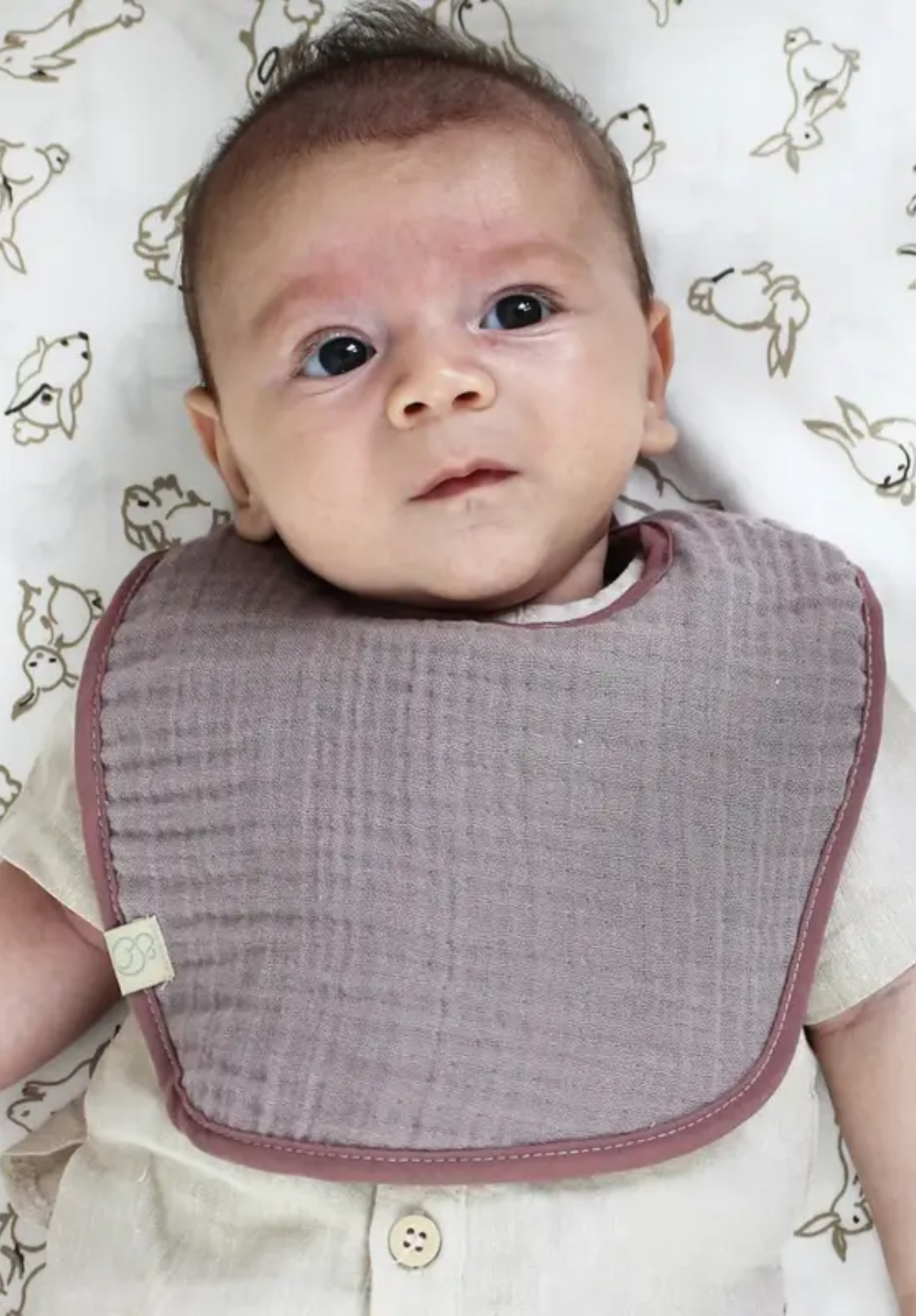 Σαλιάρες βρεφικές από οργανικό βαμβάκι Neutral Colours Biorganic BRG60101-1-Πολύχρωμο φωτογραφία