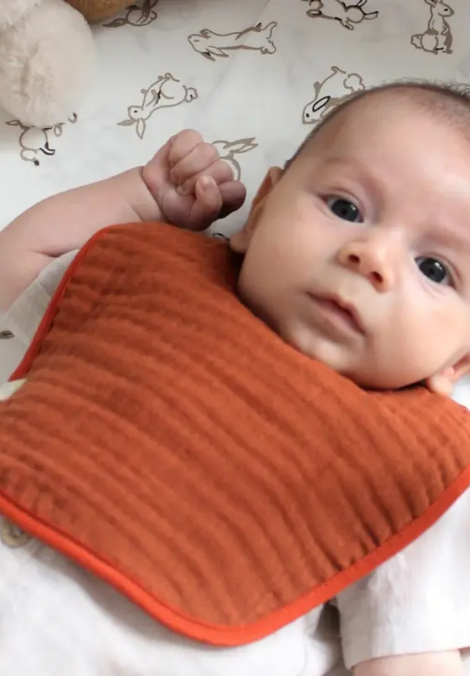 Σαλιάρες βρεφικές από οργανικό βαμβάκι Fall Colours Biorganic BRG60101-Πολύχρωμο φωτογραφία