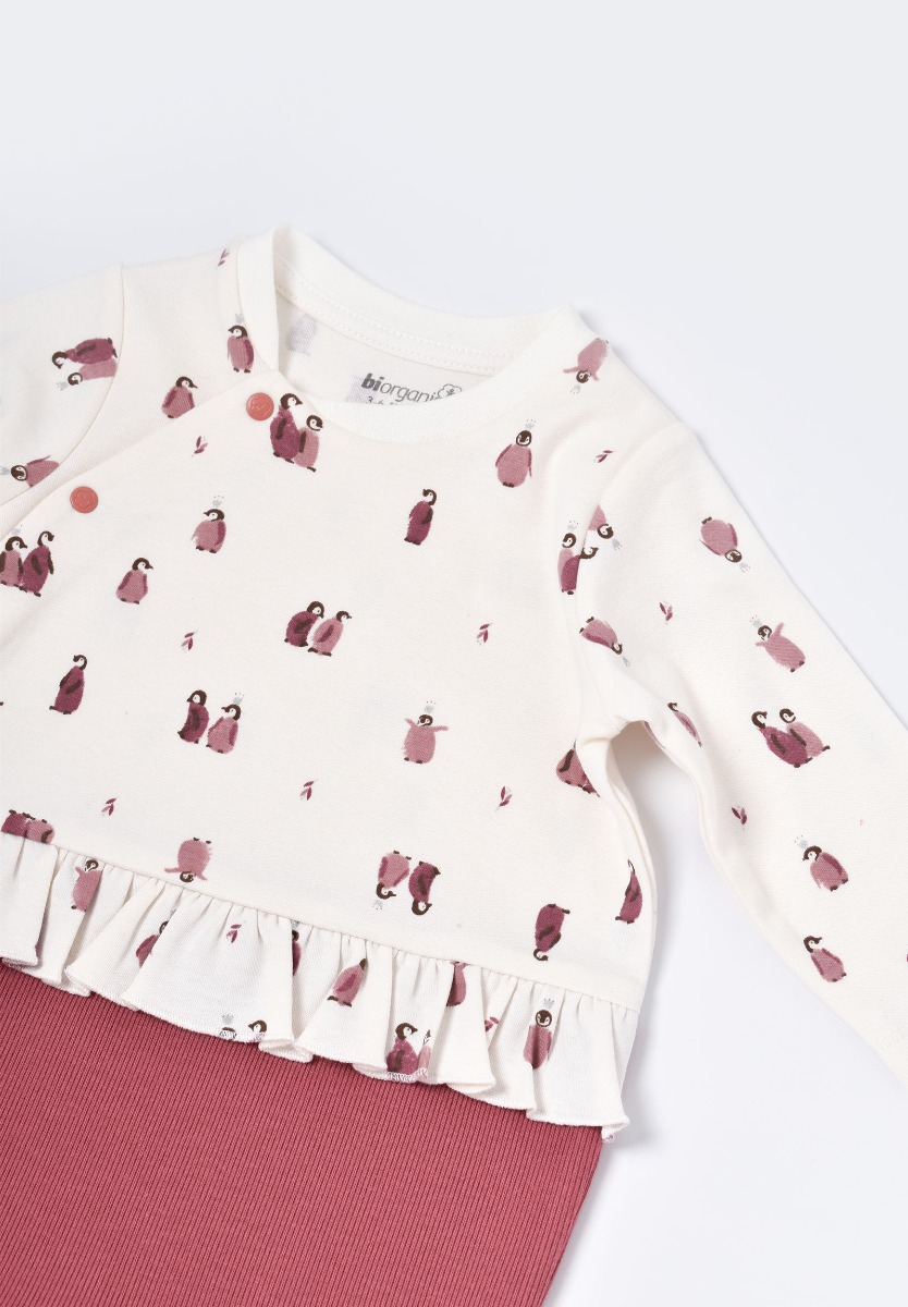 Φορμακι βρεφικό ζεστό Biorganic Little Love Penguin 60635 φωτογραφία