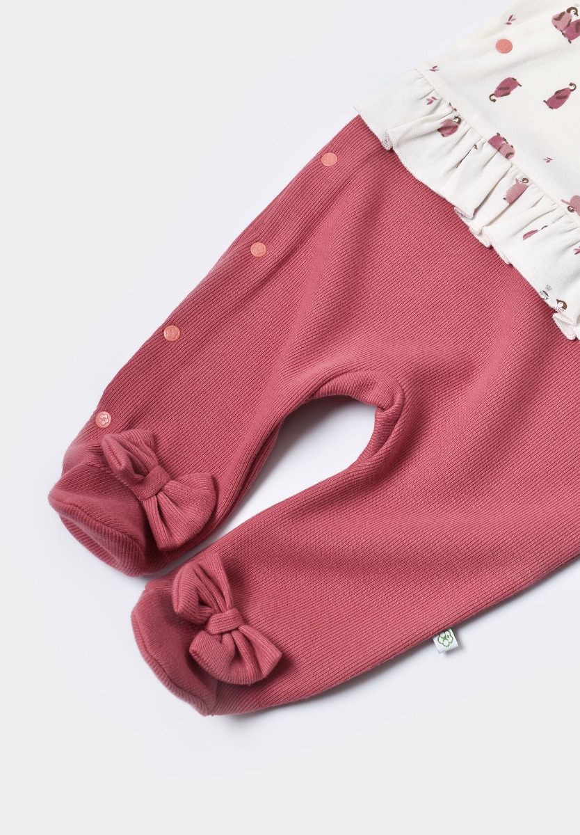 Φορμακι βρεφικό ζεστό Biorganic Little Love Penguin 60635 φωτογραφία