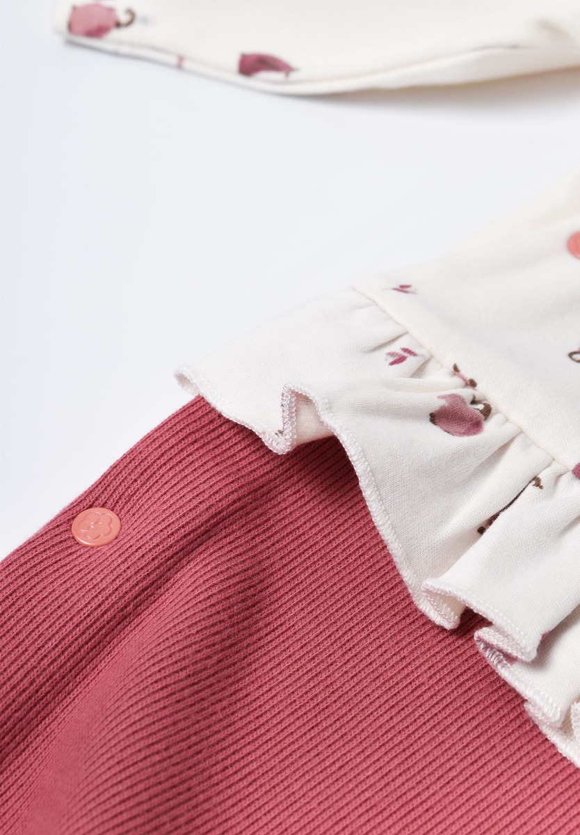 Φορμακι βρεφικό ζεστό Biorganic Little Love Penguin 60635 φωτογραφία