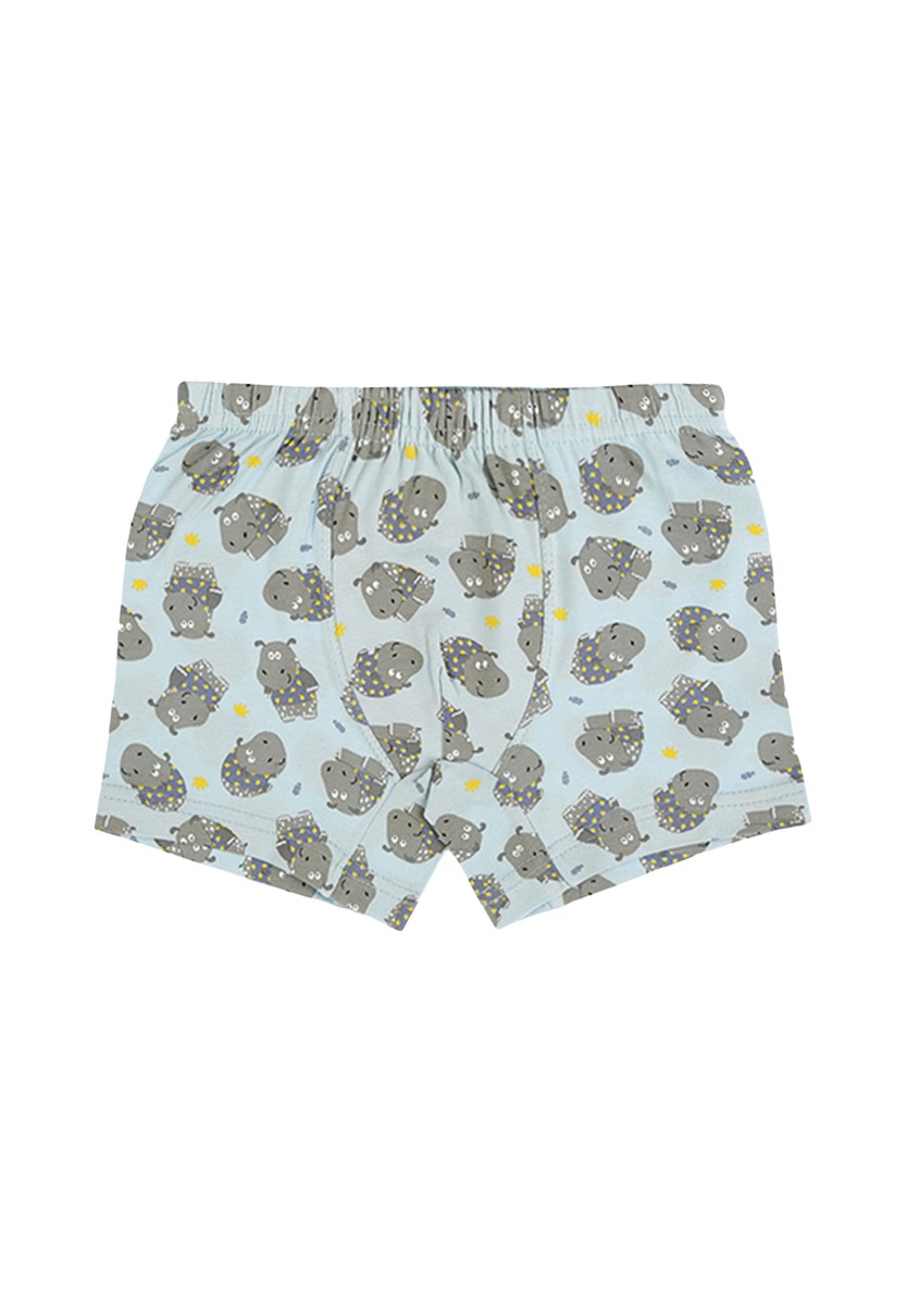 Μποξεράκια παιδικά Happy Hippo 5 τεμ. 7571796HO φωτογραφία