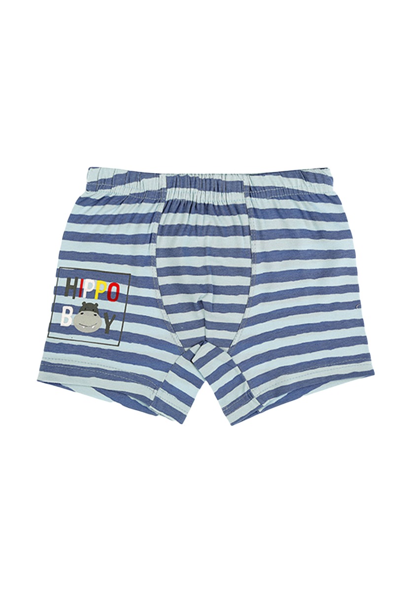 Μποξεράκια παιδικά Happy Hippo 5 τεμ. 7571796HO φωτογραφία