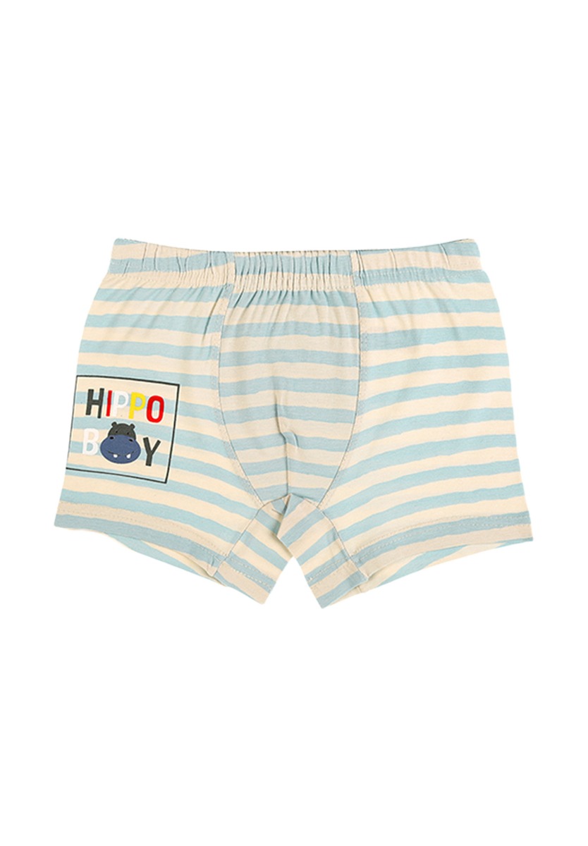 Μποξεράκια παιδικά Happy Hippo 5 τεμ. 7571796HO φωτογραφία