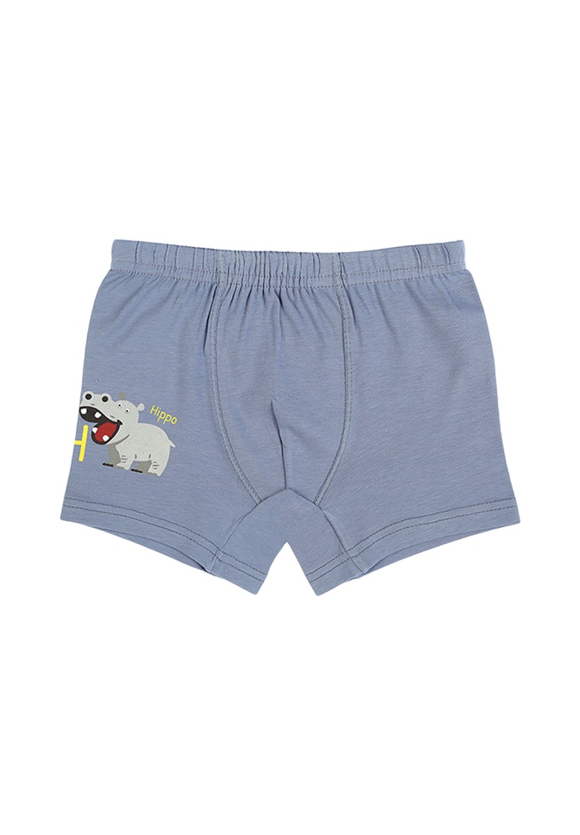 Μποξεράκια παιδικά Happy Hippo 5 τεμ. 7571796HO φωτογραφία