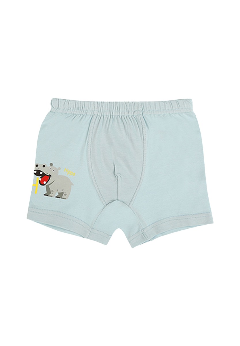 Μποξεράκια παιδικά Happy Hippo 5 τεμ. 7571796HO φωτογραφία