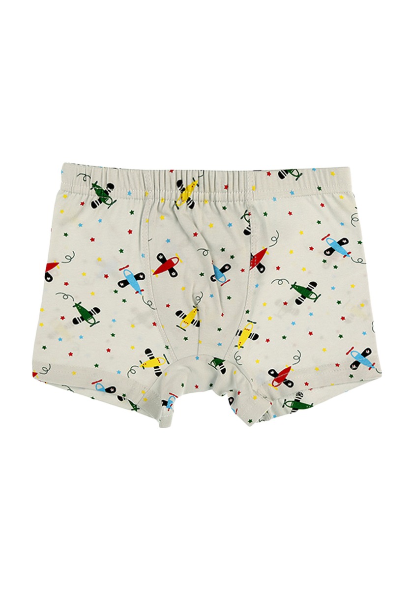 Μποξεράκια παιδικά Flying Planes 5 τεμ. 7571802DU φωτογραφία