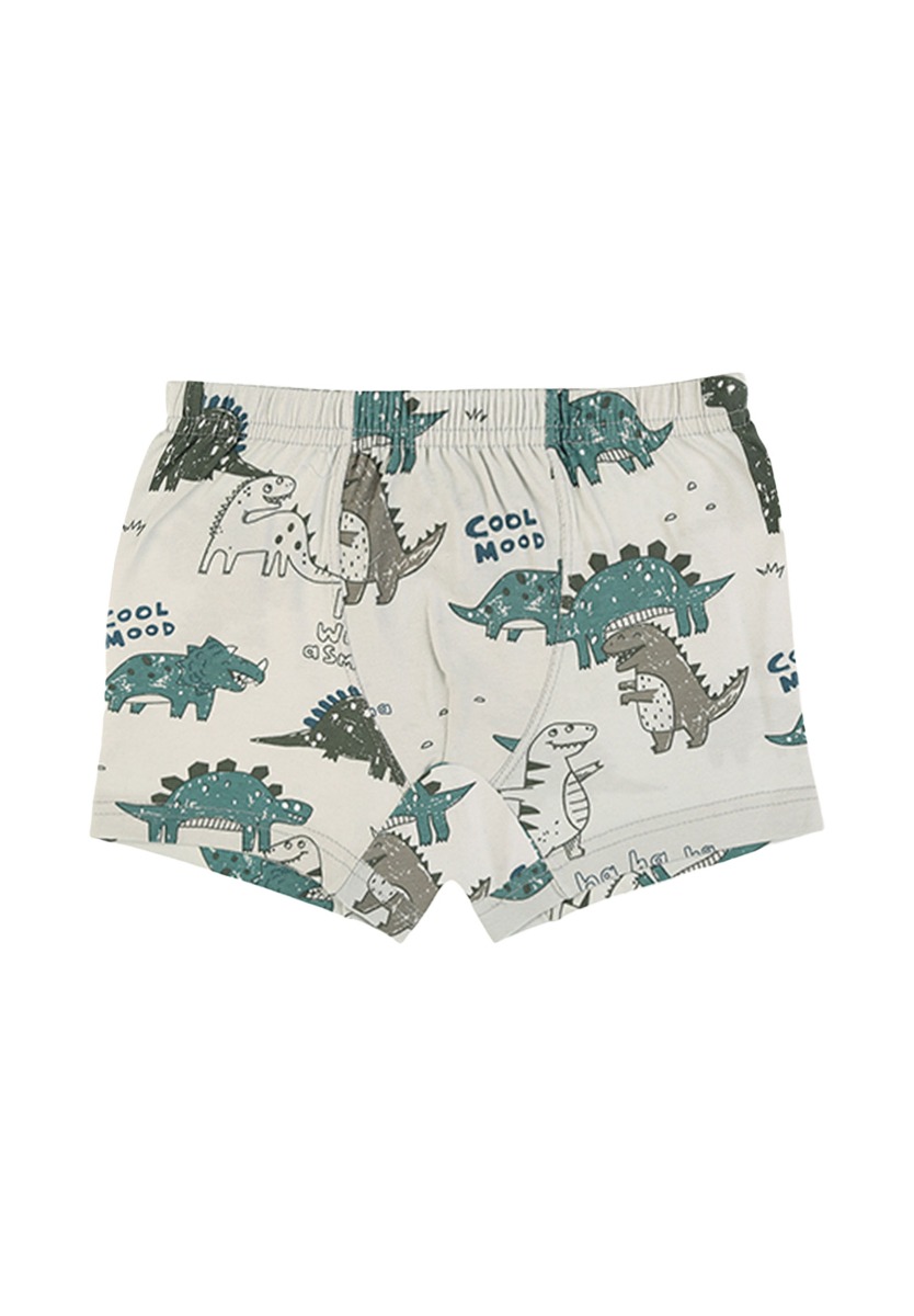Μποξεράκια παιδικά Happy Dinos 5 τεμ. 75767 φωτογραφία