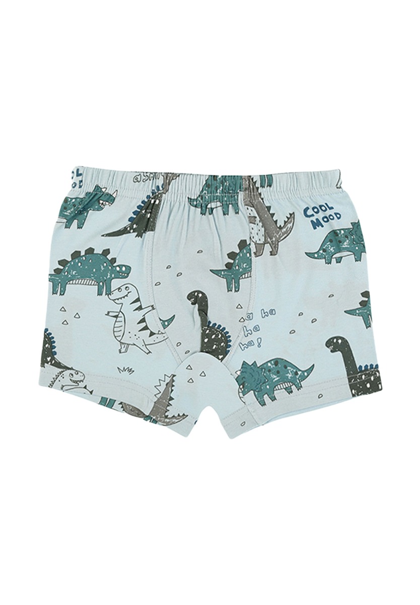 Μποξεράκια παιδικά Happy Dinos 5 τεμ. 75767 φωτογραφία