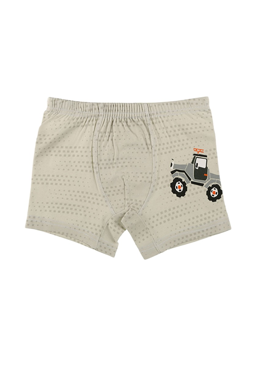 Μποξεράκια παιδικά Trucks οικονομική συσκευασία 5 τεμ. 75931AZ φωτογραφία