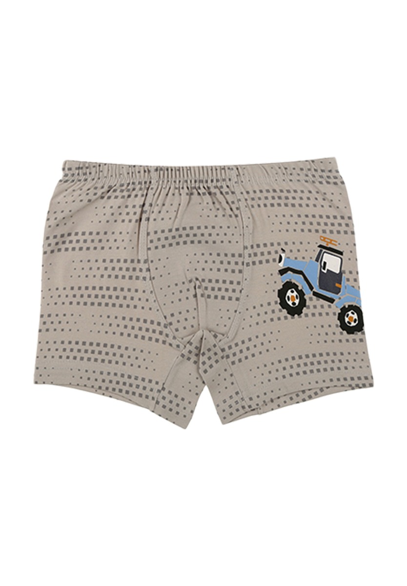 Μποξεράκια παιδικά Trucks οικονομική συσκευασία 5 τεμ. 75931AZ φωτογραφία