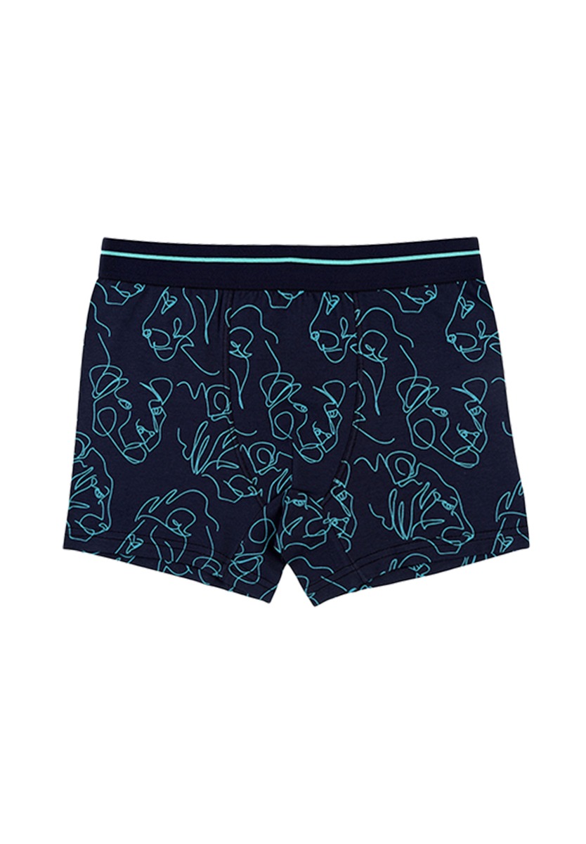 Μποξεράκια εφηβικά Lions 5 τεμ. 80868 φωτογραφία