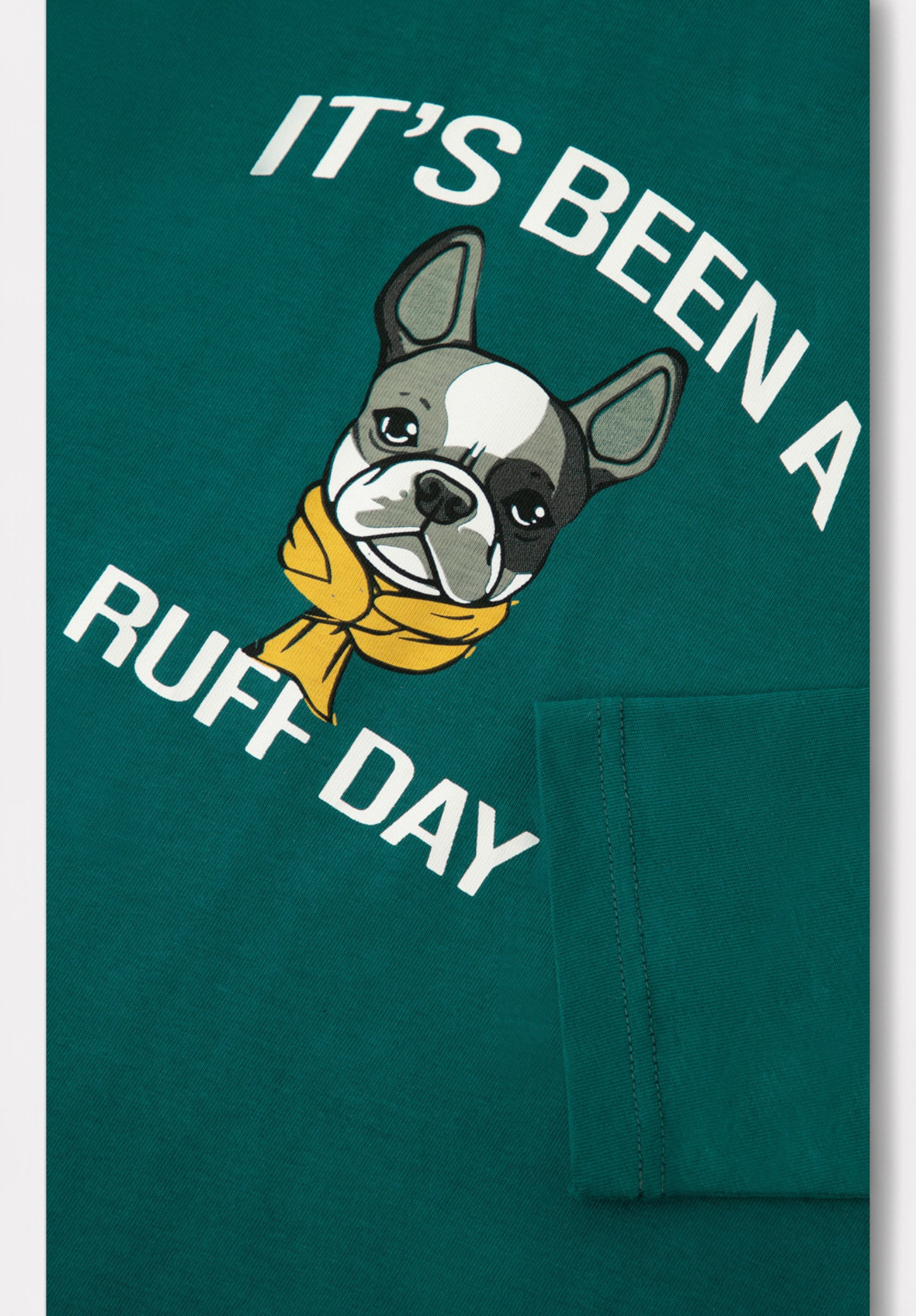 Πιτζάμα για Αγόρι Εφηβική Minerva Bulldog 90-62305-007-843-Πράσινο φωτογραφία