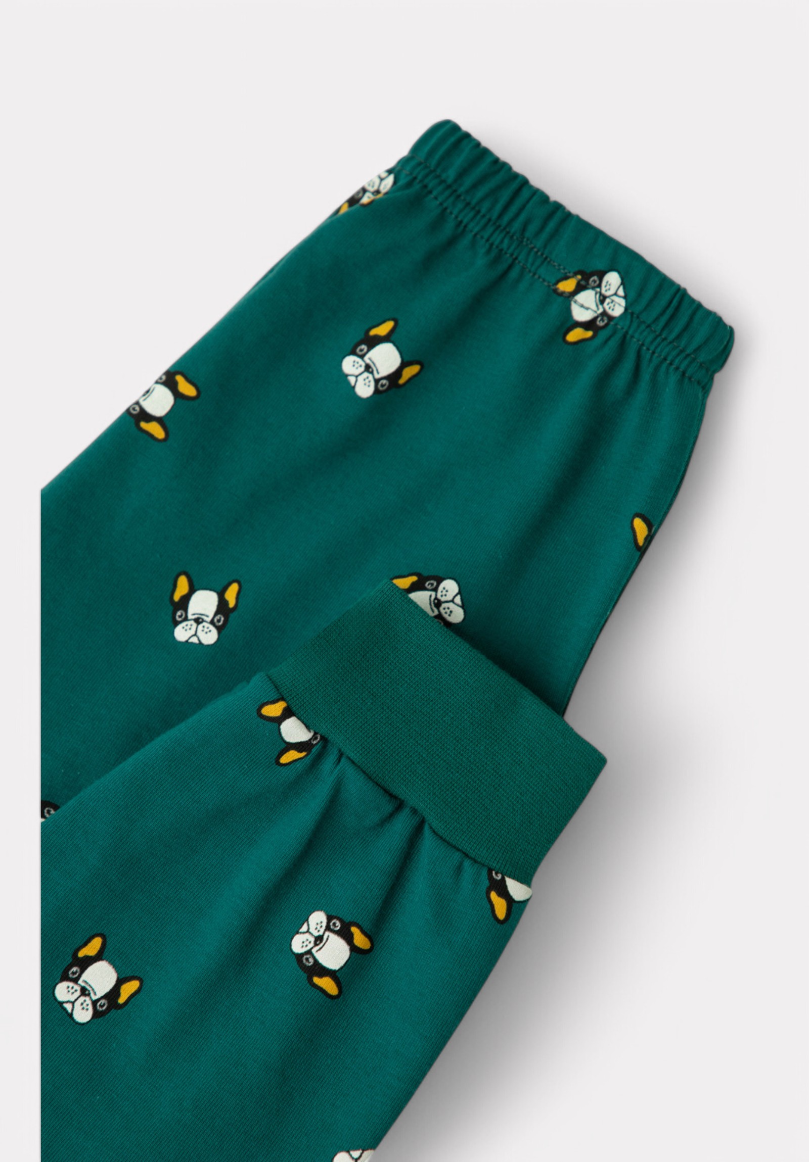 Πιτζάμα για Αγόρι Εφηβική Minerva Bulldog 90-62305-007-843-Πράσινο φωτογραφία