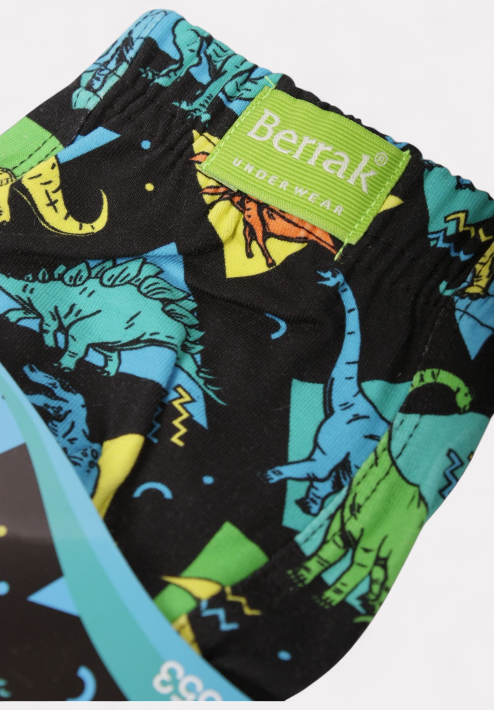 Παιδικό Μποξεράκι Berrak Dinosaurs BRK1553-10-Μαύρο φωτογραφία