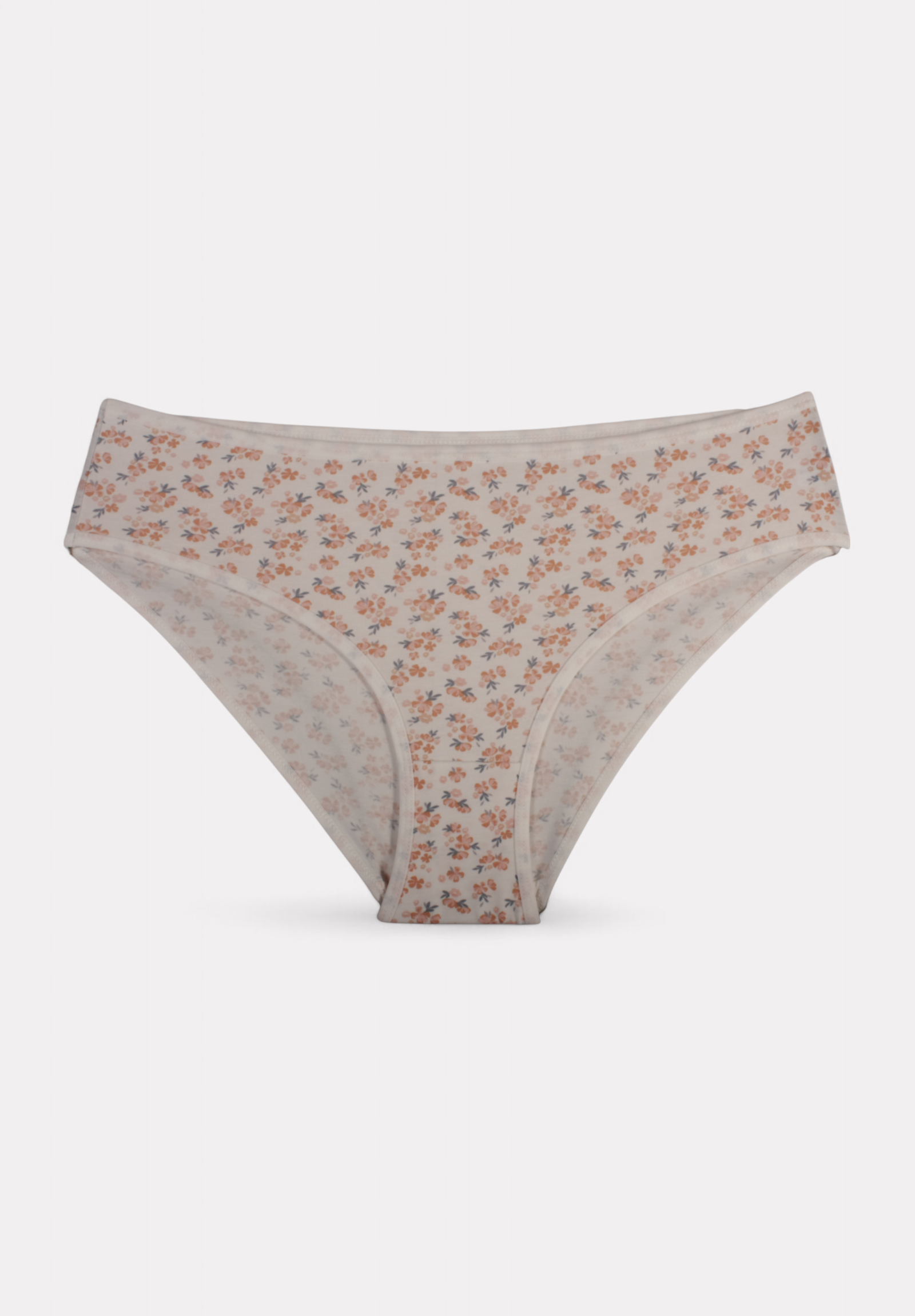 Σλιπ γυναικεία βαμβακερά ψηλόμεσα Berrak Somon σε οικονομική συσκευασία 3 τεμαχίων BRK11447-1-Πολύχρωμο φωτογραφία