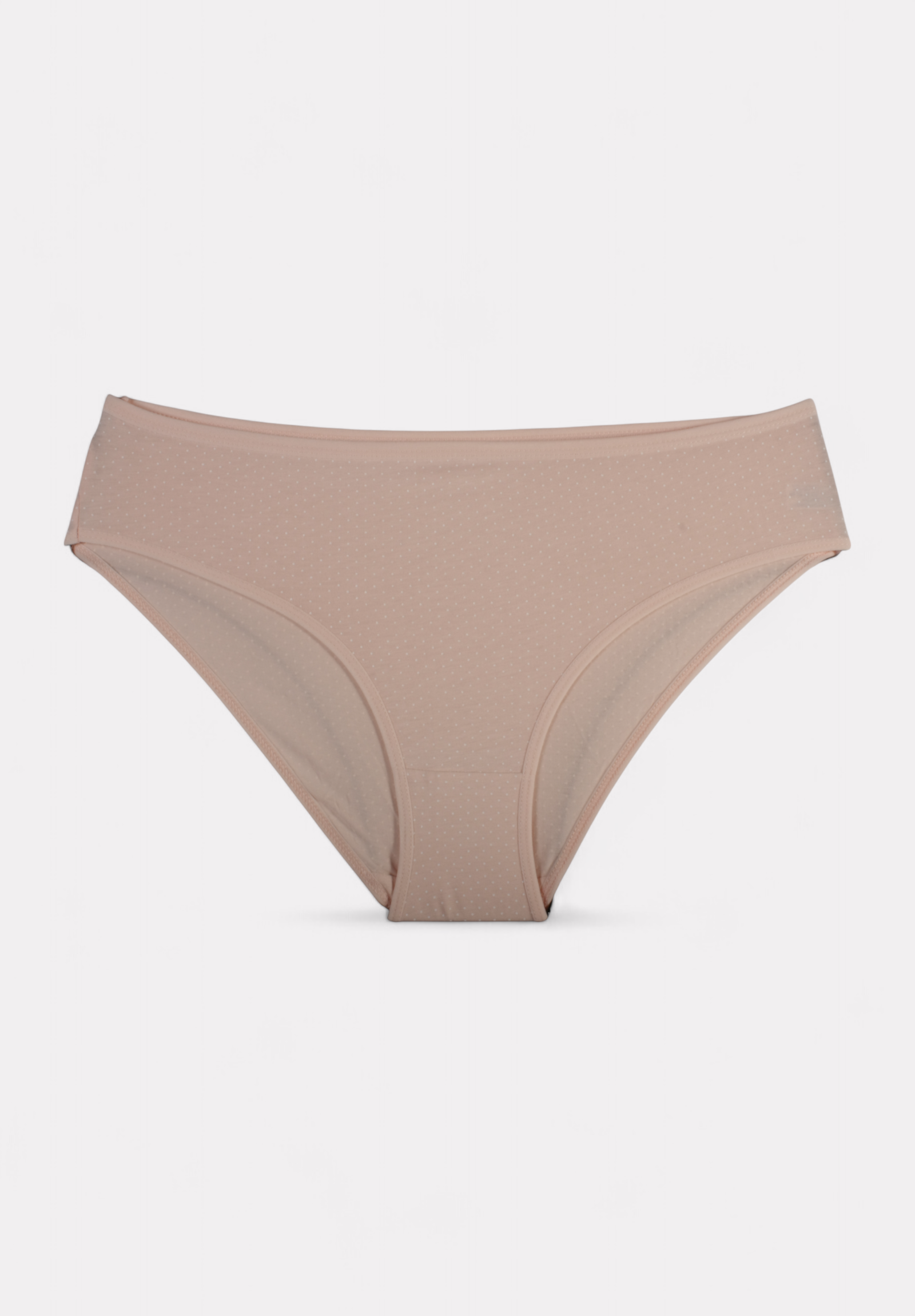 Σλιπ γυναικεία βαμβακερά ψηλόμεσα Berrak Somon σε οικονομική συσκευασία 3 τεμαχίων BRK11447-1-Πολύχρωμο φωτογραφία