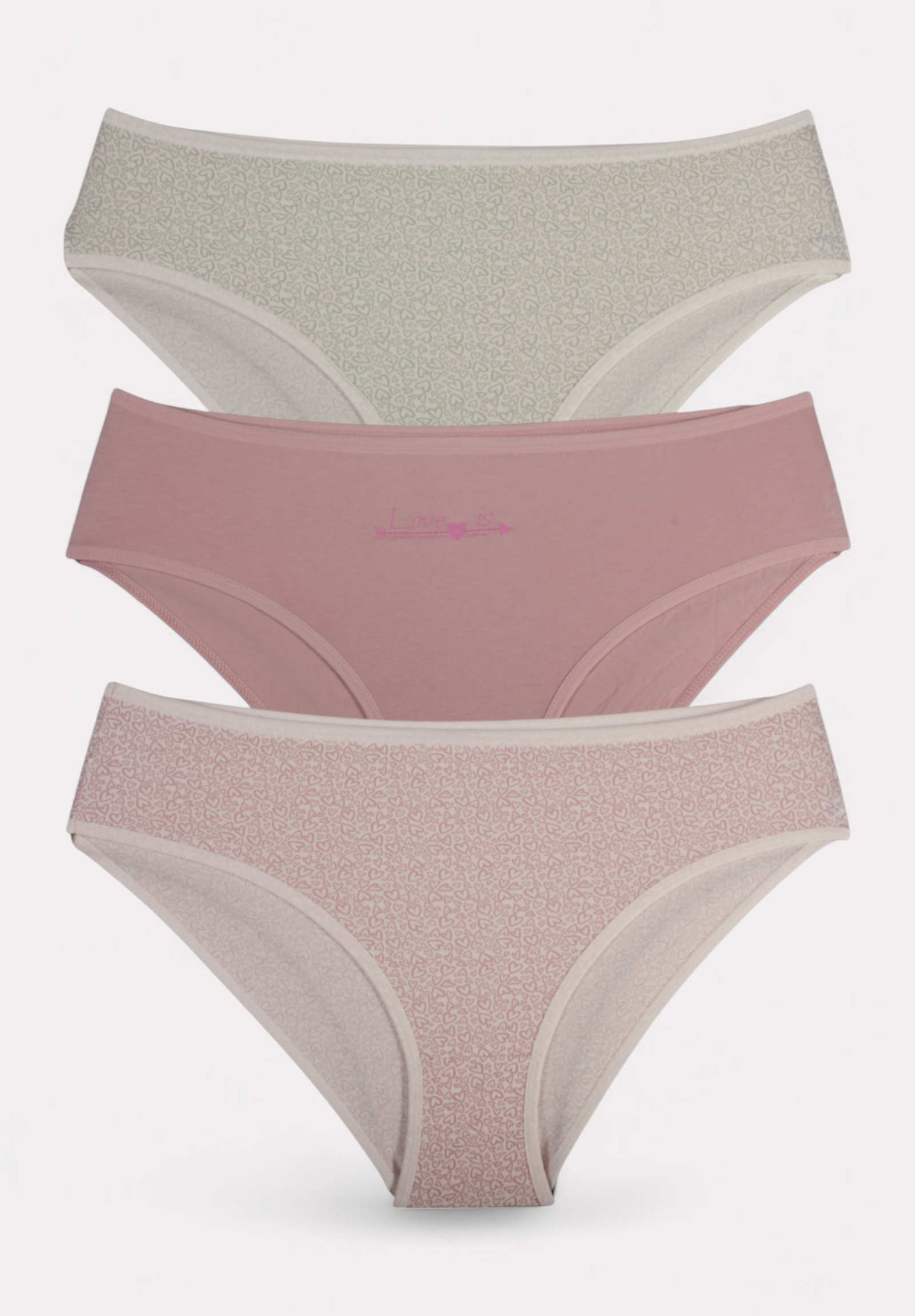 Berrak Σλιπ γυναικεία βαμβακερά ψηλόμεσα Berrak Hearts σε οικονομική συσκευασία 3 τεμαχίων BRK11447-5-Πολύχρωμο