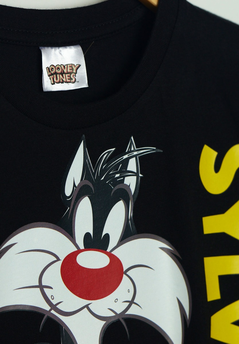 Πιτζάμα παιδική για αγόρι Sylvester Looney Tunes LT19661 φωτογραφία