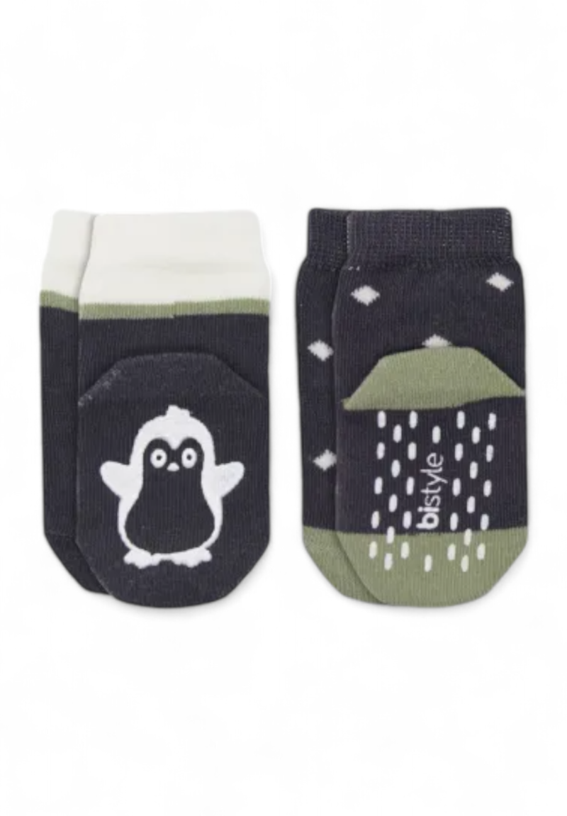 Κάλτσες βρεφικές με τάπες Boy Animals Biorganic 2 Τεμ.
