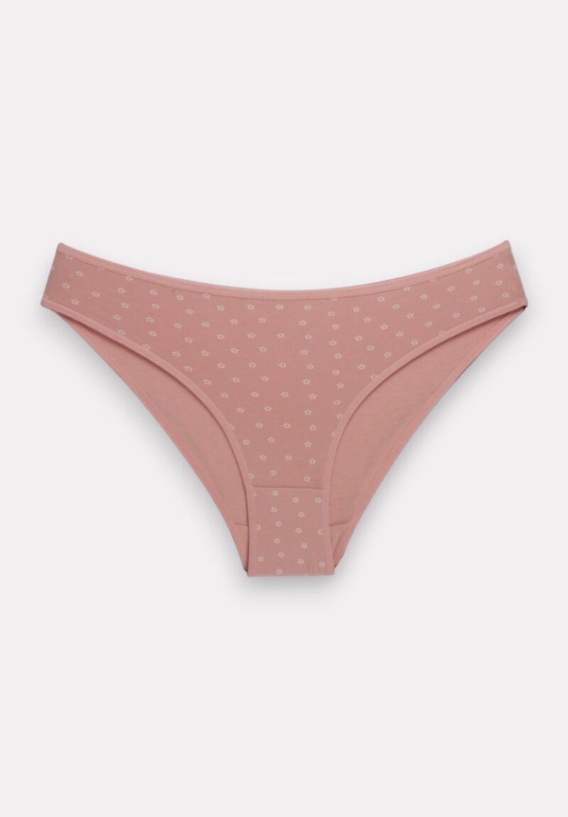 Σλιπ Bikini βαμβακερά Dream Berrak 3 Τεμ.