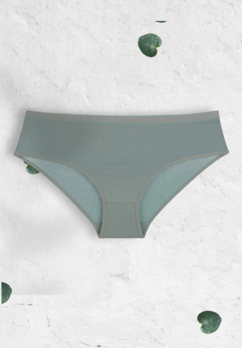 Σλιπ γυναικεία βαμβακερά Donella Spring 5 Τεμ.