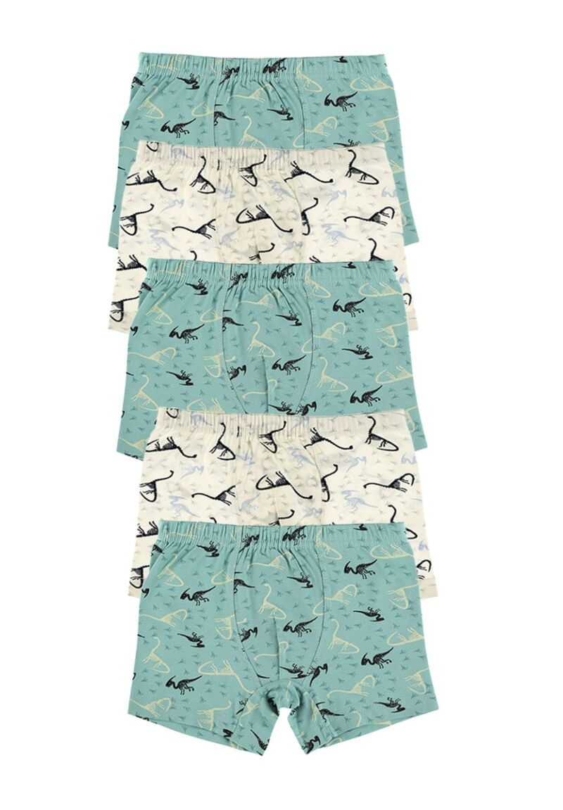 Μποξεράκια παιδικά Dinosaurs 5 τεμ.