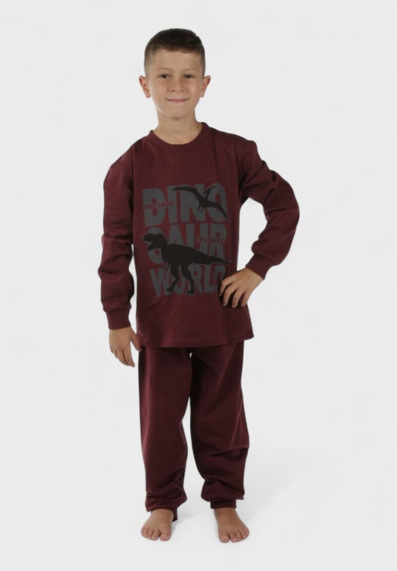Παιδική Πιτζάμα Φούτερ Dinosaur Μπορντό Χριστίνα | 100% Βαμβάκι
