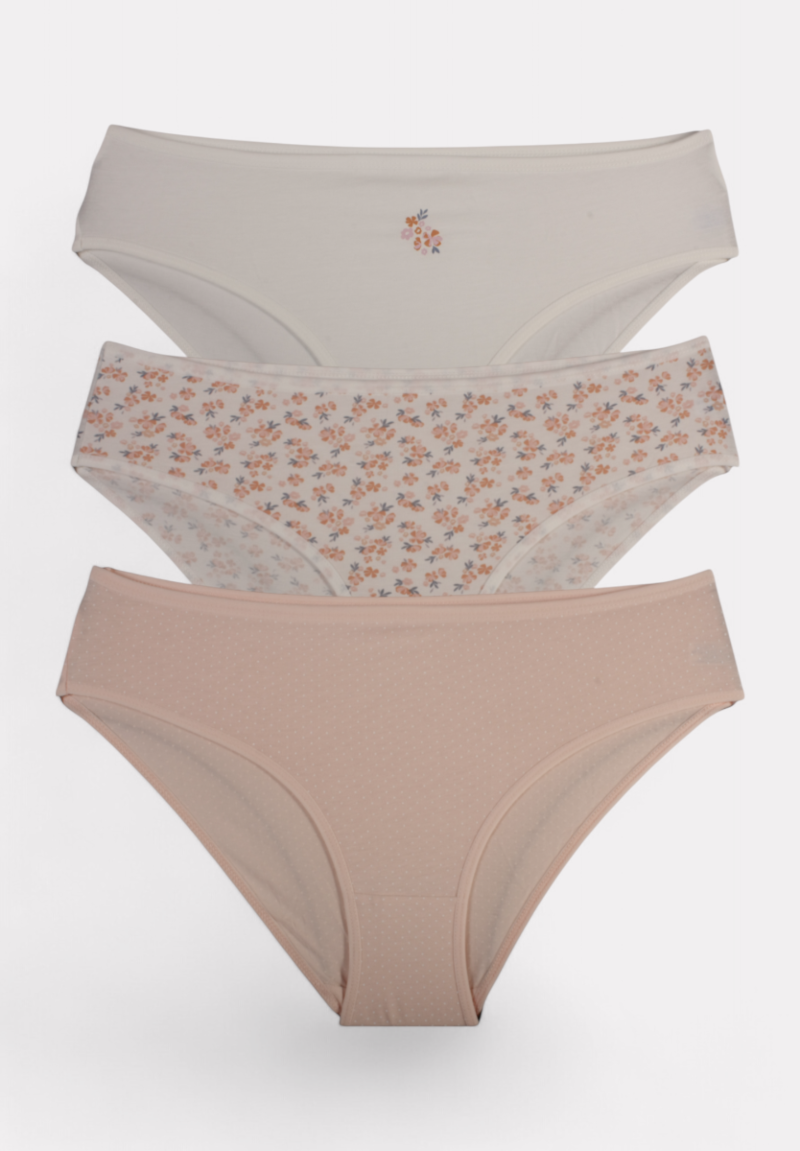 Σλιπ γυναικεία βαμβακερά ψηλόμεσα Berrak Somon σε οικονομική συσκευασία 3 τεμαχίων