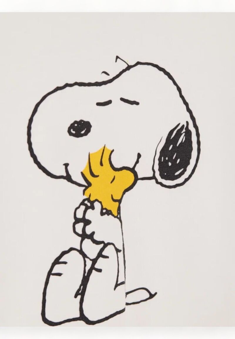 Φόρμα βαμβακερή για αγόρι Cimpa Snoopy Peanuts