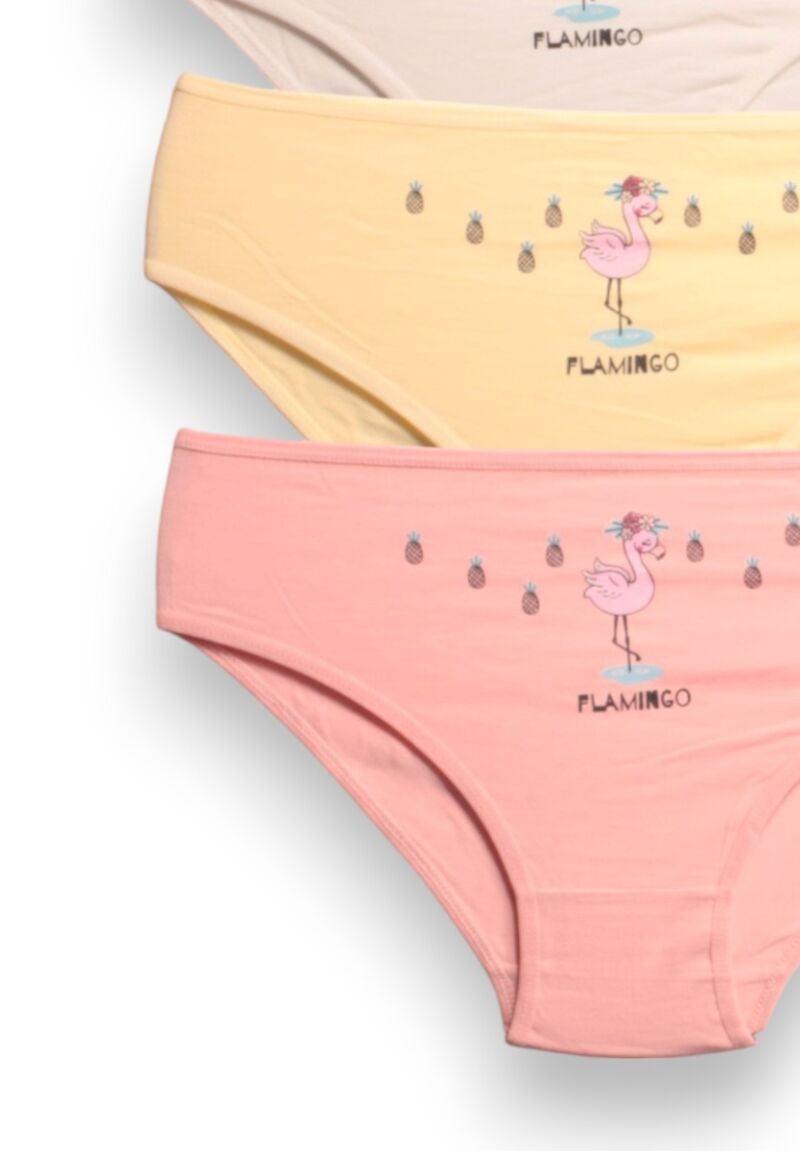 Σλιπάκια για κορίτσια βαμβακερά Berrak Flamingo σε οικονομικό πακέτο 4 τεμαχίων
