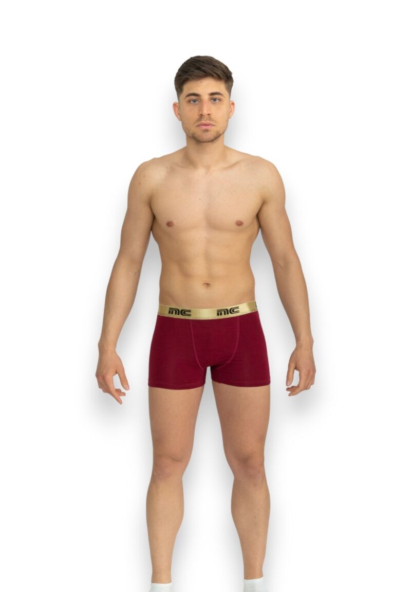 Boxer Ανδρικό Nina Club Dark Red & Gold Metal