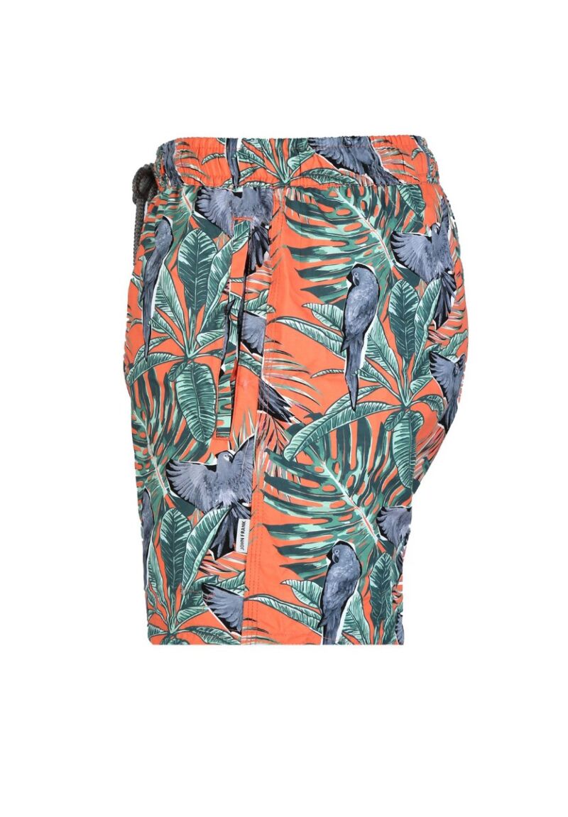 Μαγιο John Frank Macaw