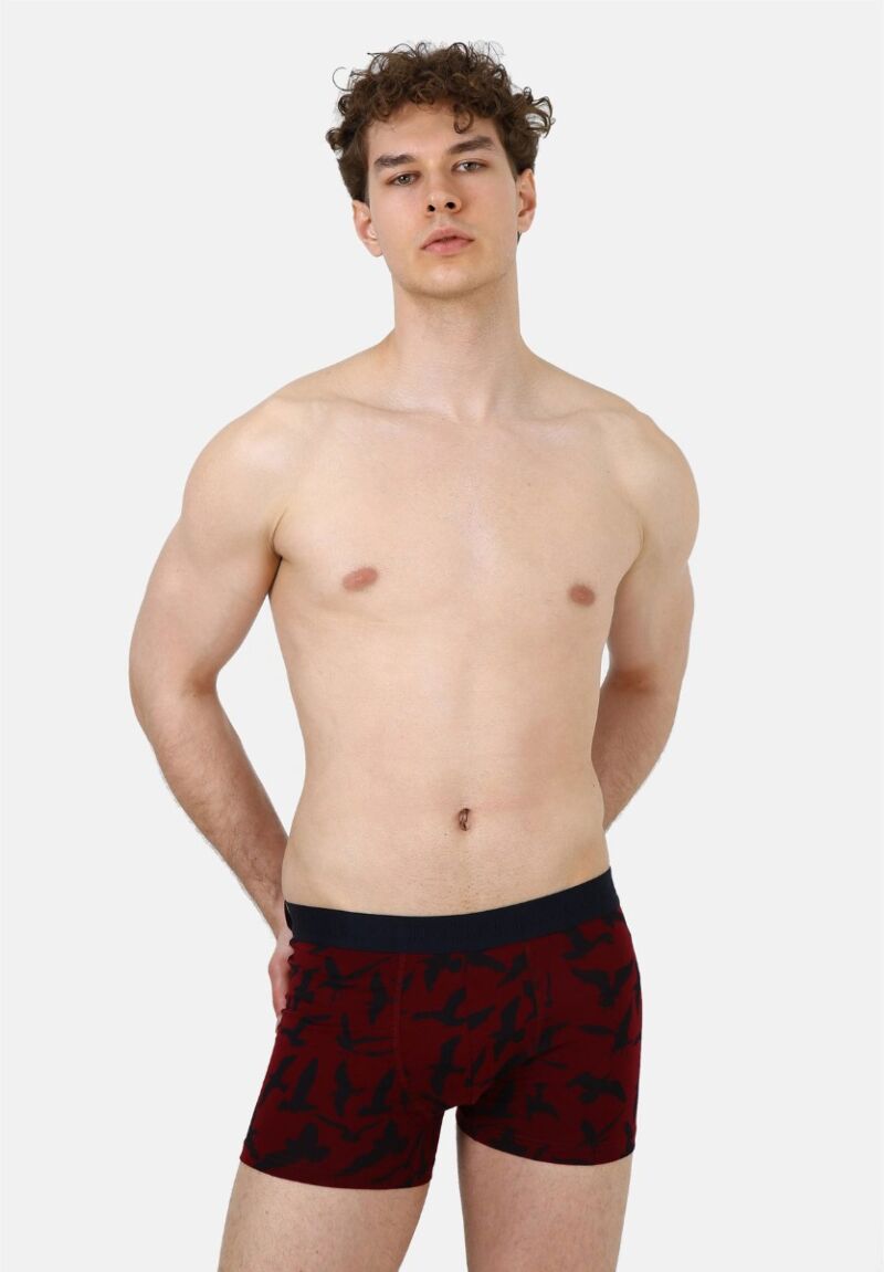 Boxer John Frank Avian