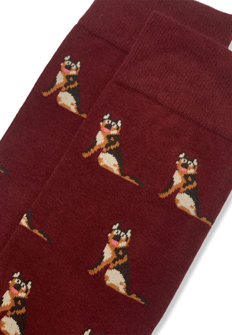 Κάλτσα Ανδρική Rex John Frank