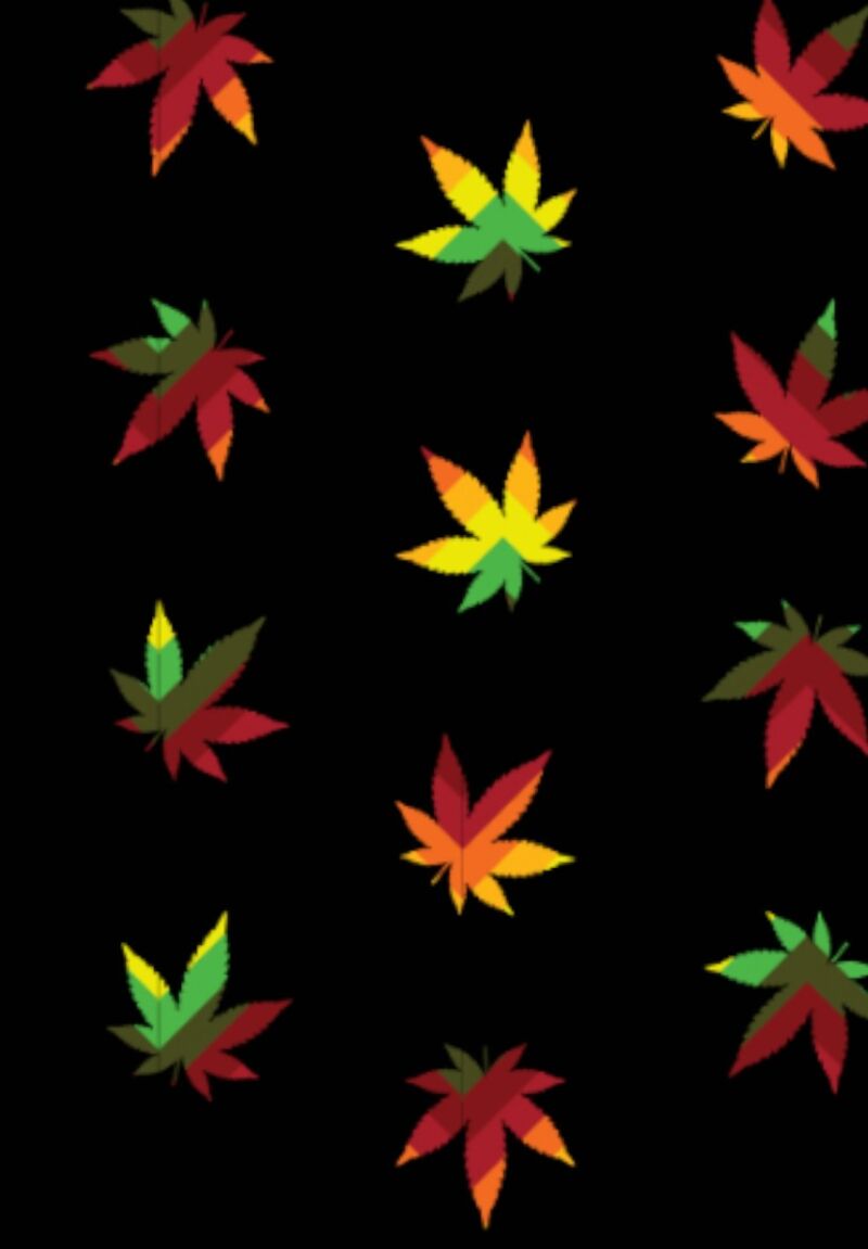 Κάλτσες ανδρικές Reggae Soma Black