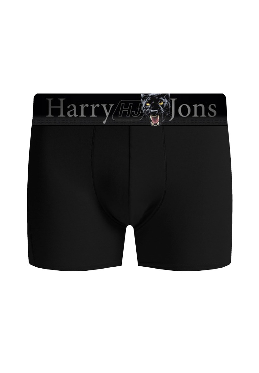 Boxer Harry Jons Animals 3 Τεμ. HJ01 φωτογραφία