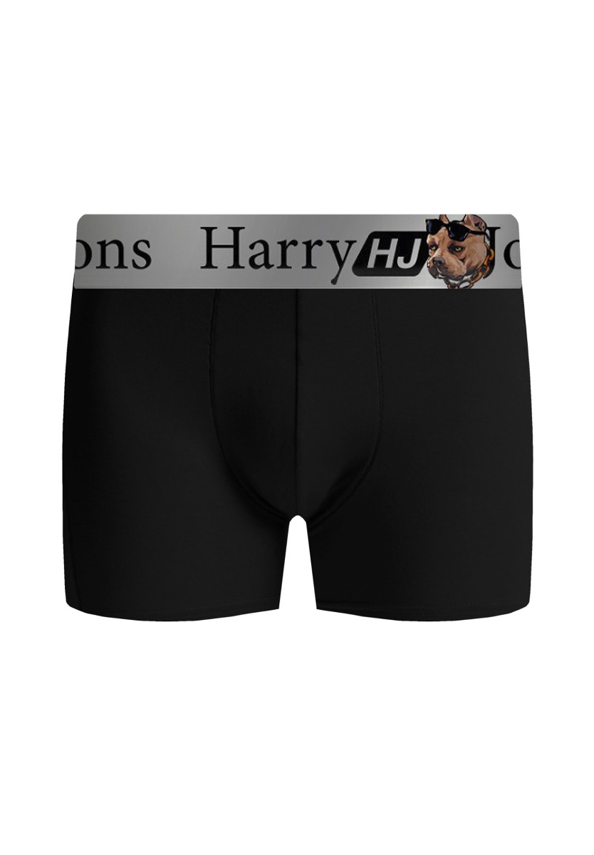Boxer Harry Jons Animals 3 Τεμ. HJ01 φωτογραφία