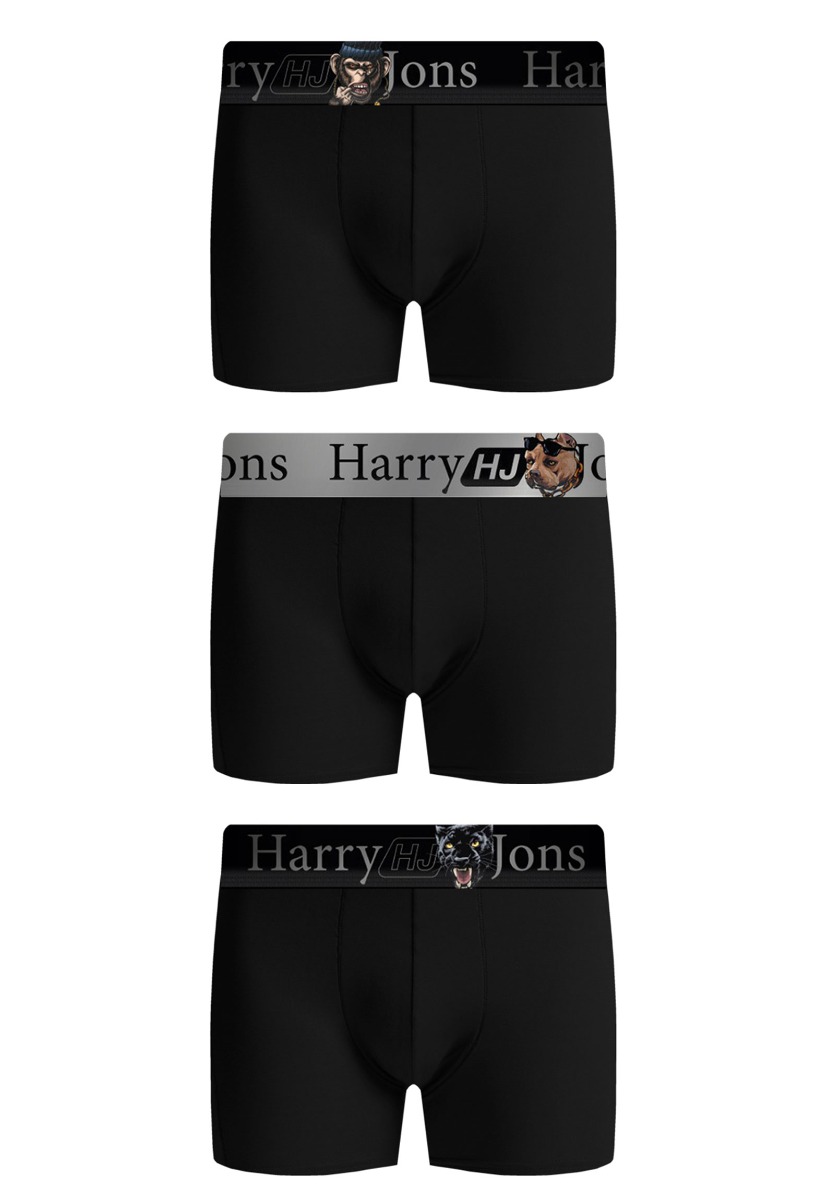 Boxer Harry Jons Animals 3 Τεμ. HJ01 φωτογραφία