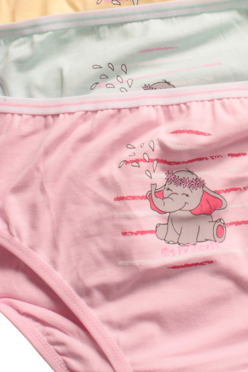 Σλιπάκια για κορίτσια βαμβακερά Berrak Elephant σε οικονομικό πακέτο 4 τεμαχίων BRK6880-Πολύχρωμο φωτογραφία