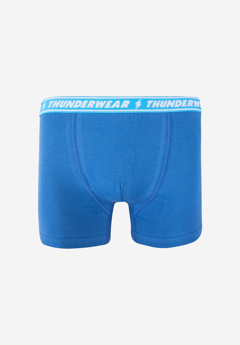 Μποξεράκια εφηβικά Basics Ocean 4 Τεμ. 316-3 φωτογραφία